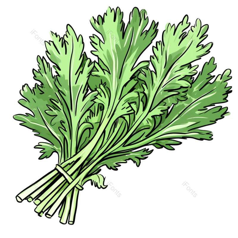 元素图片,蔬菜元素,绿色PNG,植物免抠素材